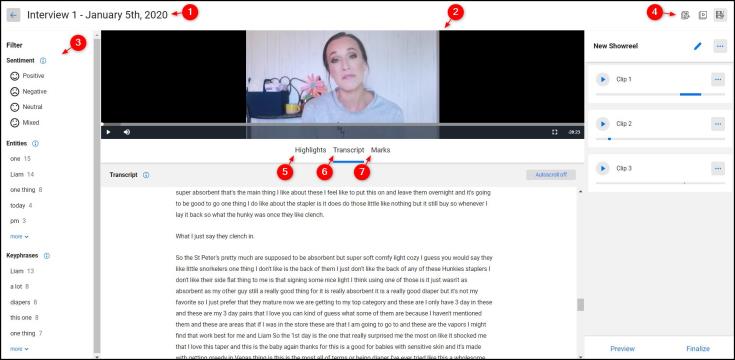 vi_the_video_analysis_workspace_002.jpg